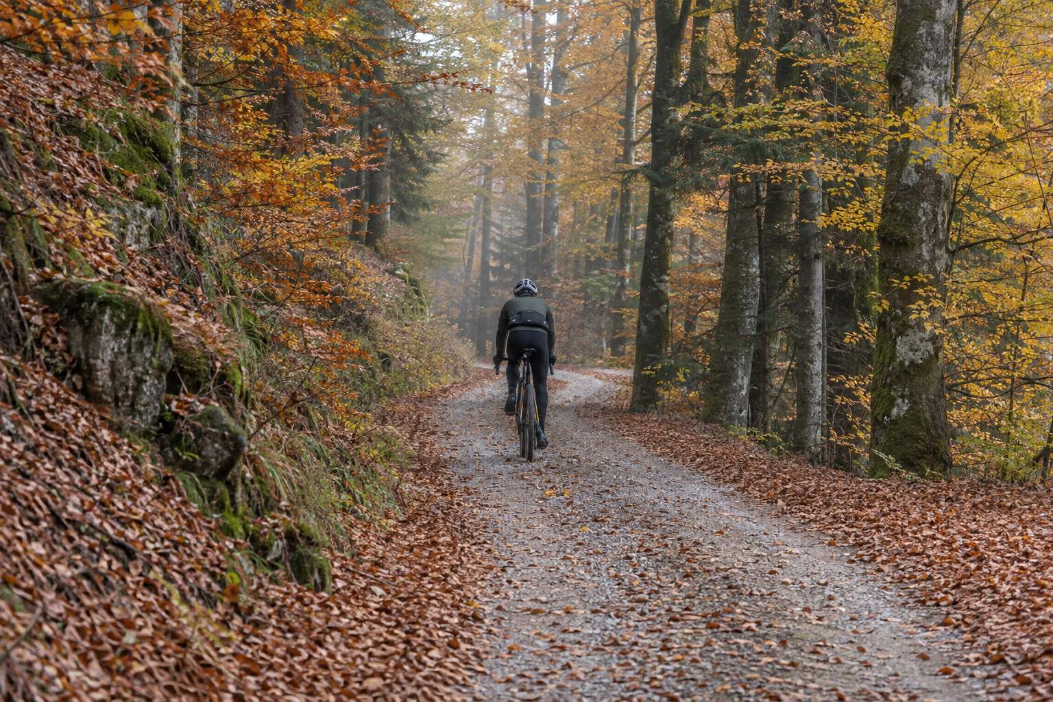 Gravel cyclist on a forest track covered with fallen leaves, through a beech wood in autumn colours
